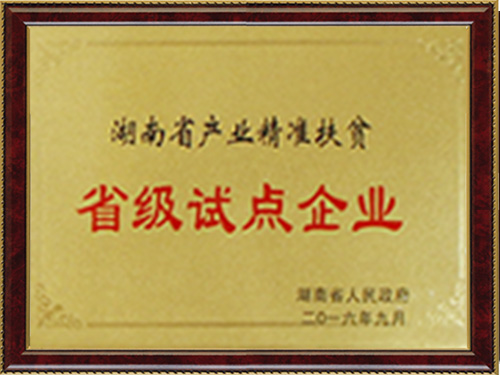 省級(jí)試點(diǎn)企業(yè)