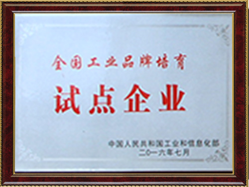試點(diǎn)企業(yè)