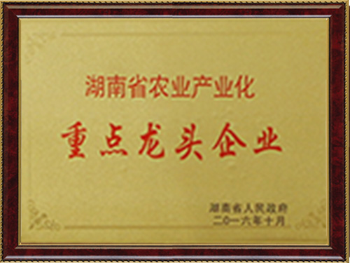 重點(diǎn)龍頭企業(yè)