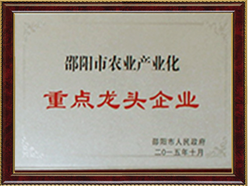 重點(diǎn)龍頭企業(yè)