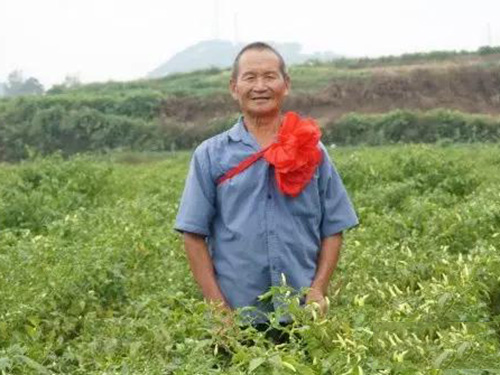 種植示范戶