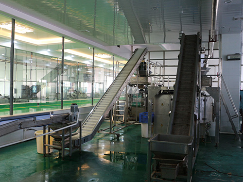 小米辣自動(dòng)清洗上料機(jī)
