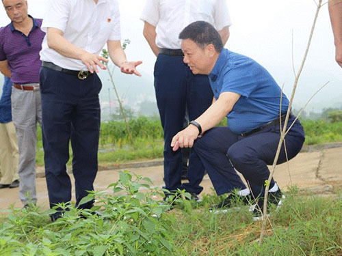 湖南軍杰辣椒,軍杰剁辣椒,湖南剁辣椒 湖南軍杰辣椒,軍杰剁辣椒,湖南剁辣椒